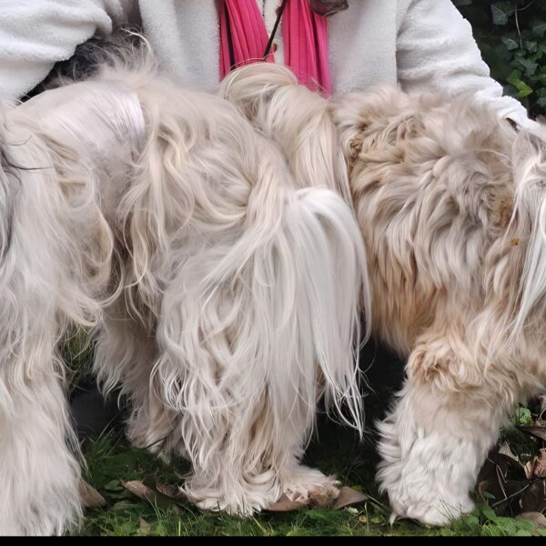 Mariage de "Swenn" avec "UandMe"